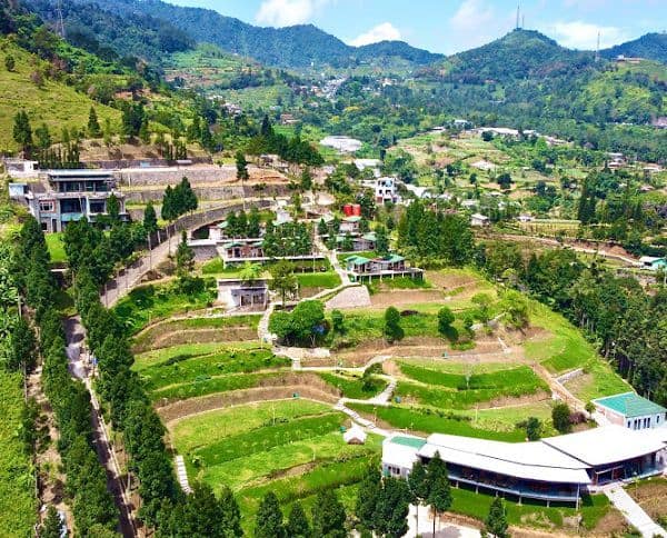 Harga Penginapan Alinson Sunset Hill Puncak Bogor