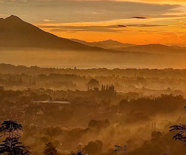 Harga Penginapan Alinson Sunset Hill Puncak Bogor
