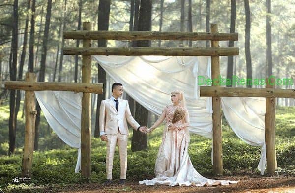 Harga tiket Masuk Hutan Pinus Limpakuwus Lokasi Jam Buka Rute Foto