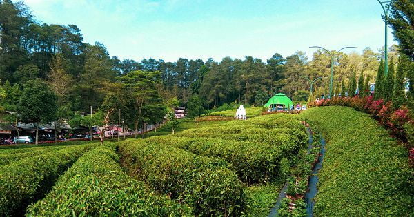 Tiket Masuk Asstro Highland Ciater Subang