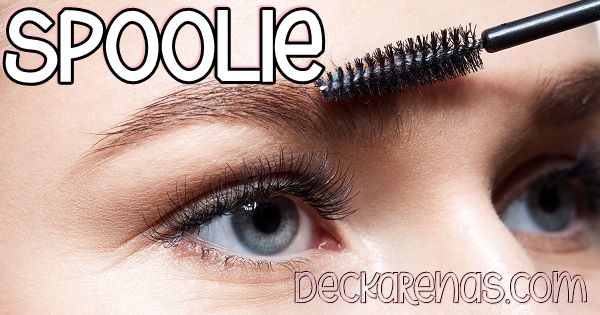 nama nama alat make up beserta gambarnya untuk pemula - spoolie