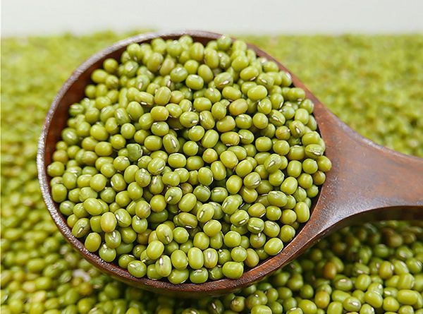 berapa porsi yang didapat dari 1 kg kacang hijau jadi berapa porsi